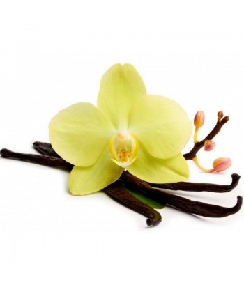 Bulk Perfume Type Vanilla flower Beauty hall - 1